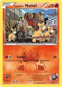 Team Magma's Numel - Double Crisis - Pokemon card