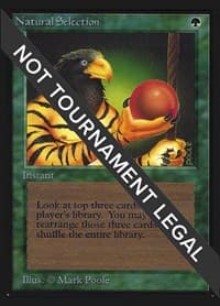 Natural Selection (IE) - International Edition - Magic: The Gathering card