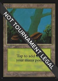 Forest (A) (IE) - International Edition - Magic: The Gathering card