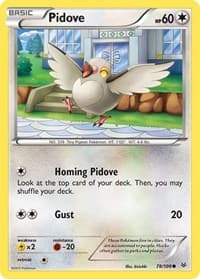 Pidove - XY - Roaring Skies - Pokemon card