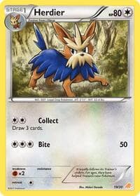 Herdier - BW Trainer Kit: Excadrill & Zoroark - Pokemon card