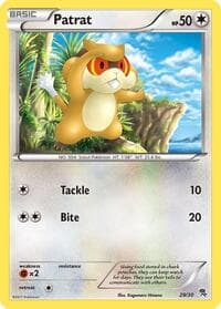 Patrat (#29) - BW Trainer Kit: Excadrill & Zoroark - Pokemon card